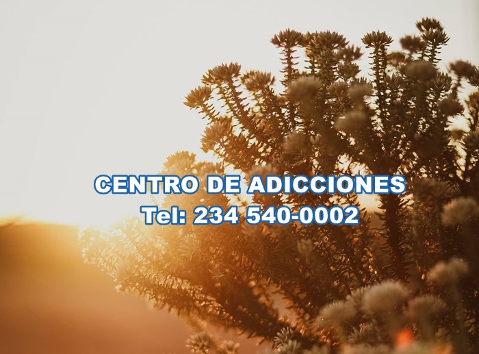 Centro Privado de Adicciones en Buenos Aires